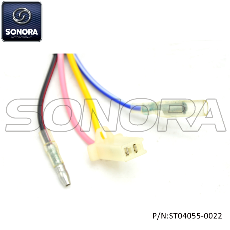 ST04055-0022 (3)