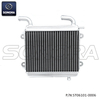 Radiator for Yamaha Aerox, MBK Nitro (P/N:ST06101-0006） Top Quality 