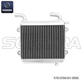 Radiator for Yamaha Aerox, MBK Nitro (P/N:ST06101-0006） Top Quality 