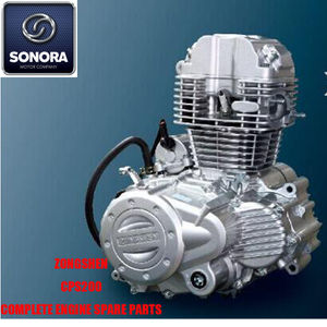 Zongshen CPS200 Complete Engine Spare Parts Original Parts