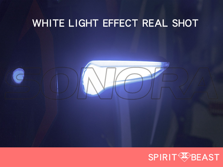 SPIRIT BEAST turn signal L12 (6)