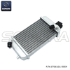 Malaguti Radiator 0233111000426(P/N:ST06101-0004) Top Quality