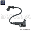 Ignition coil for Delphi system (P/N:ST03006-0030） Top Quality
