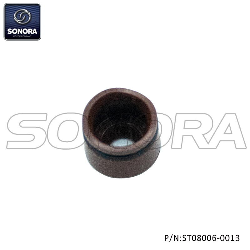 ST08006-0013 (1)