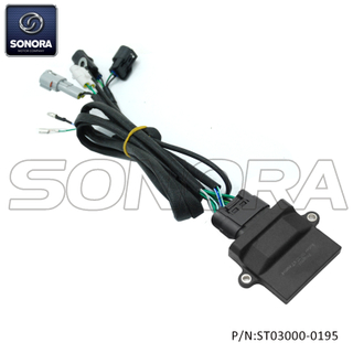 Peugeot Kisbee 4t E4 EURO 4 50CC High Performance ECU(P/N: ST03000-0195) Top Quality