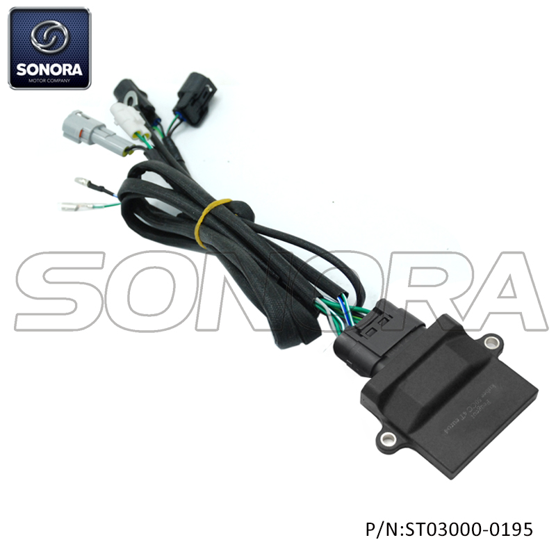 Peugeot Kisbee 4t E4 EURO 4 50CC High Performance ECU(P/N: ST03000-0195) Top Quality