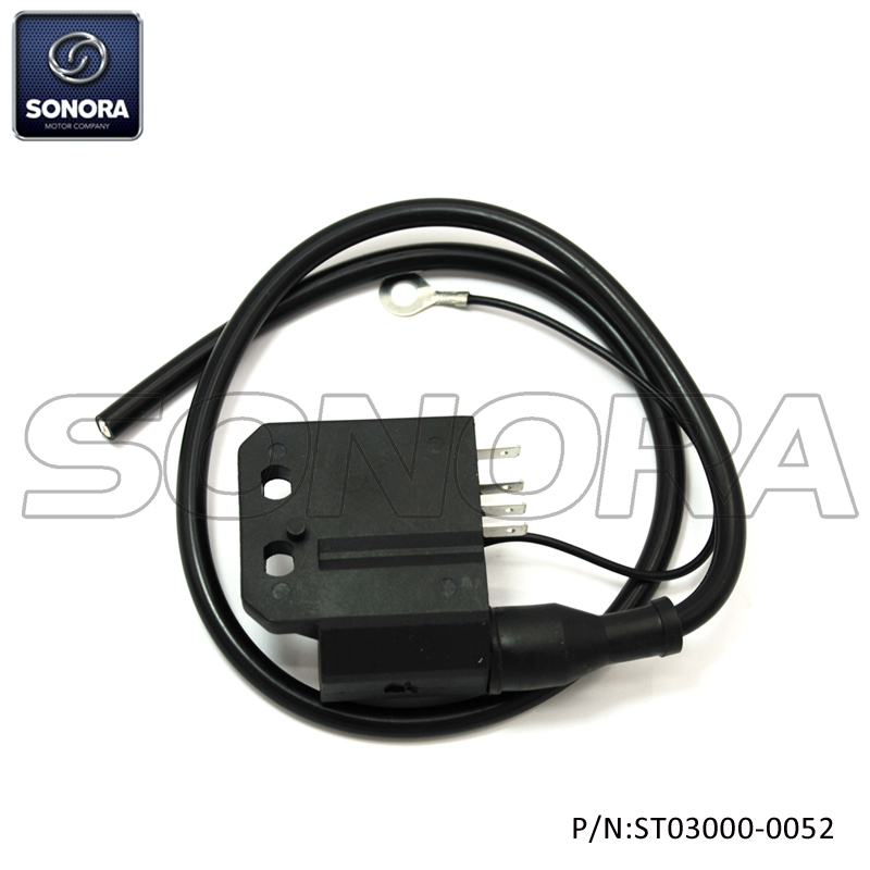 AM6 PERFORMANCE CDI (P/N: ST03000-0052) Top Quality