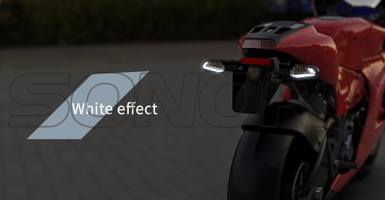 SPIRIT BEAST Car Lamp L16 (4)