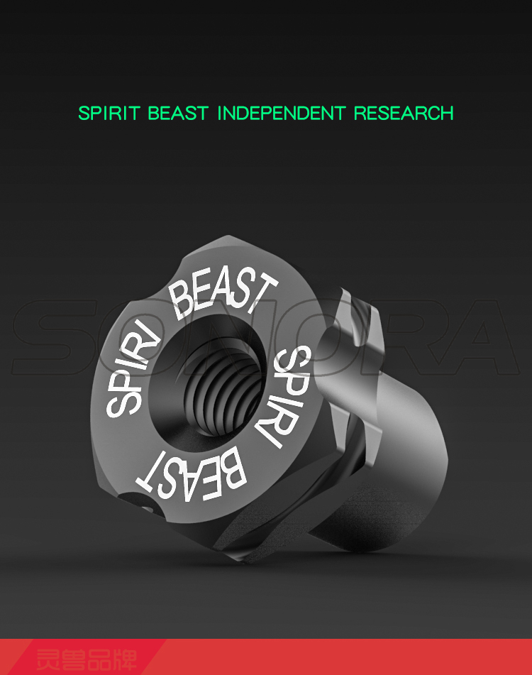 SPIRIT BEAST drum brake adjustment screw (6)