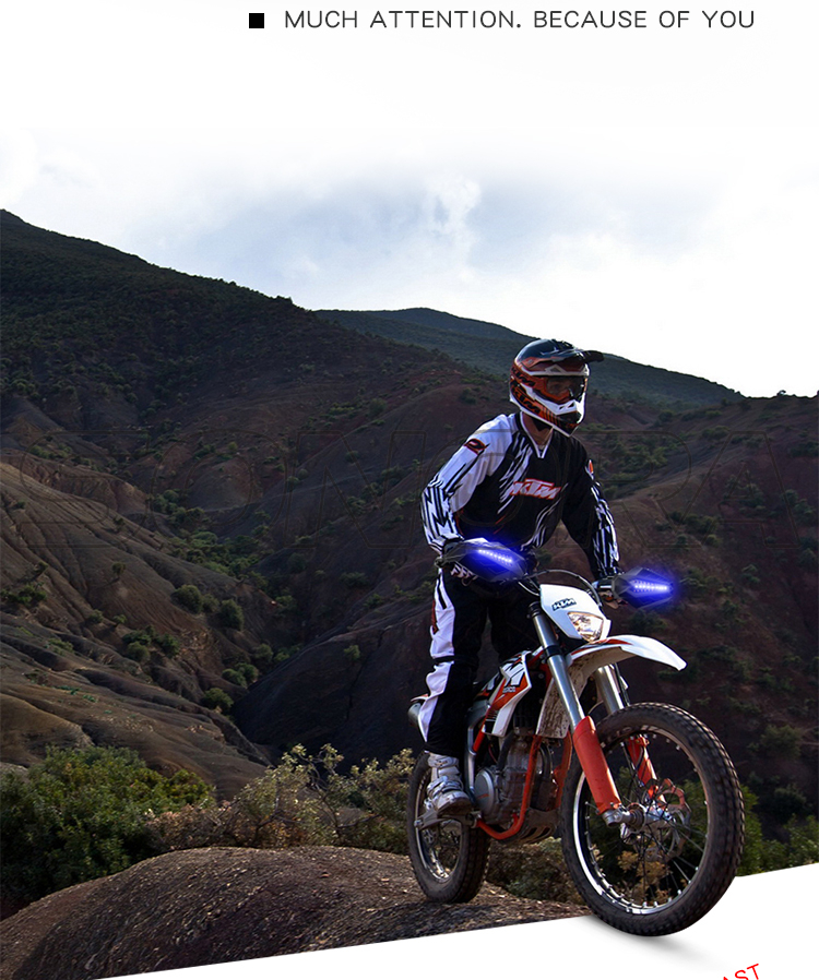 SPIRIT BEAST LED with light guard L1 (2)