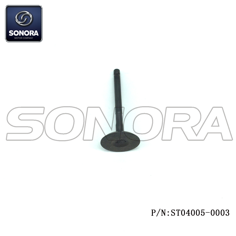 ST04005-0003 (3)
