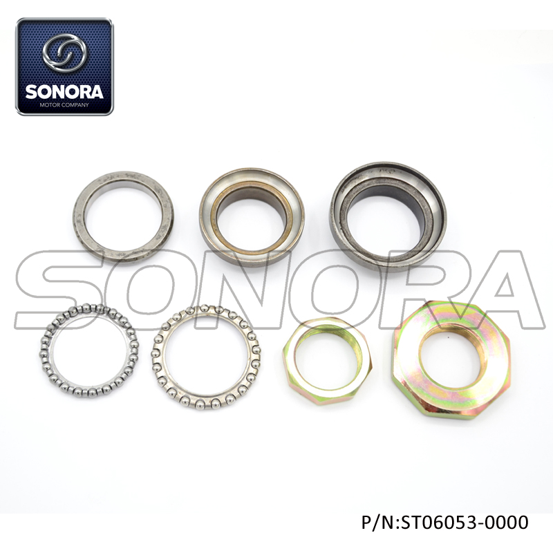 ST06053-0000 (1)