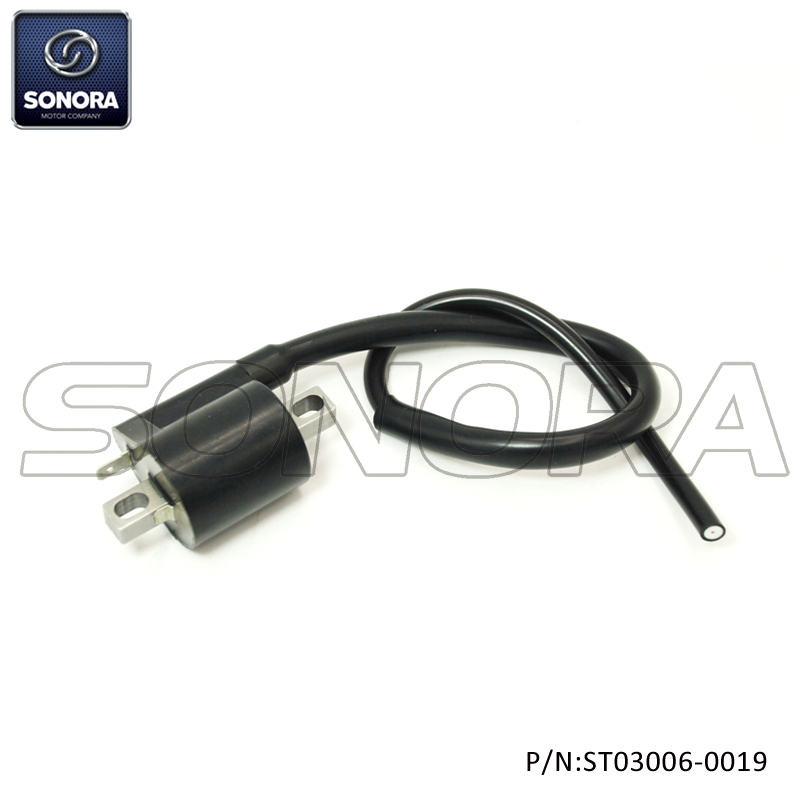 SYM Ignition Coil(P/N:ST03006-0019) Top Quality