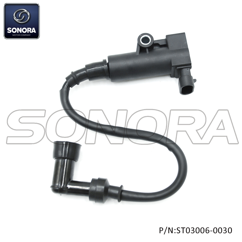 Ignition coil for Delphi system (P/N:ST03006-0030） Top Quality