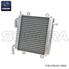 Radiator for Yamaha Aerox, MBK Nitro (P/N:ST06101-0006） Top Quality 