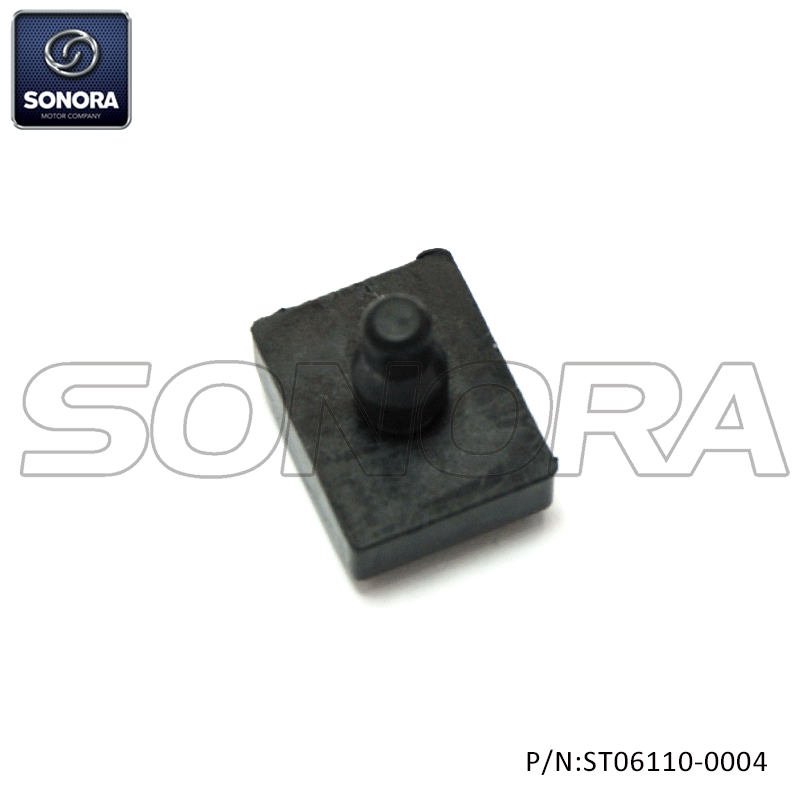 ST06110-0004 (4)