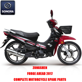 Zongshen FORGE AHEAD 2017 Complete Engine Body Kit Spare Parts Original Spare Parts