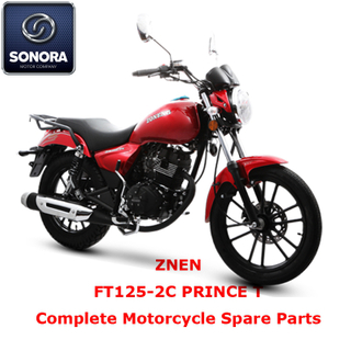 ZNEN FT125-2C PRINCE T Complete Motorcycle Spare Part