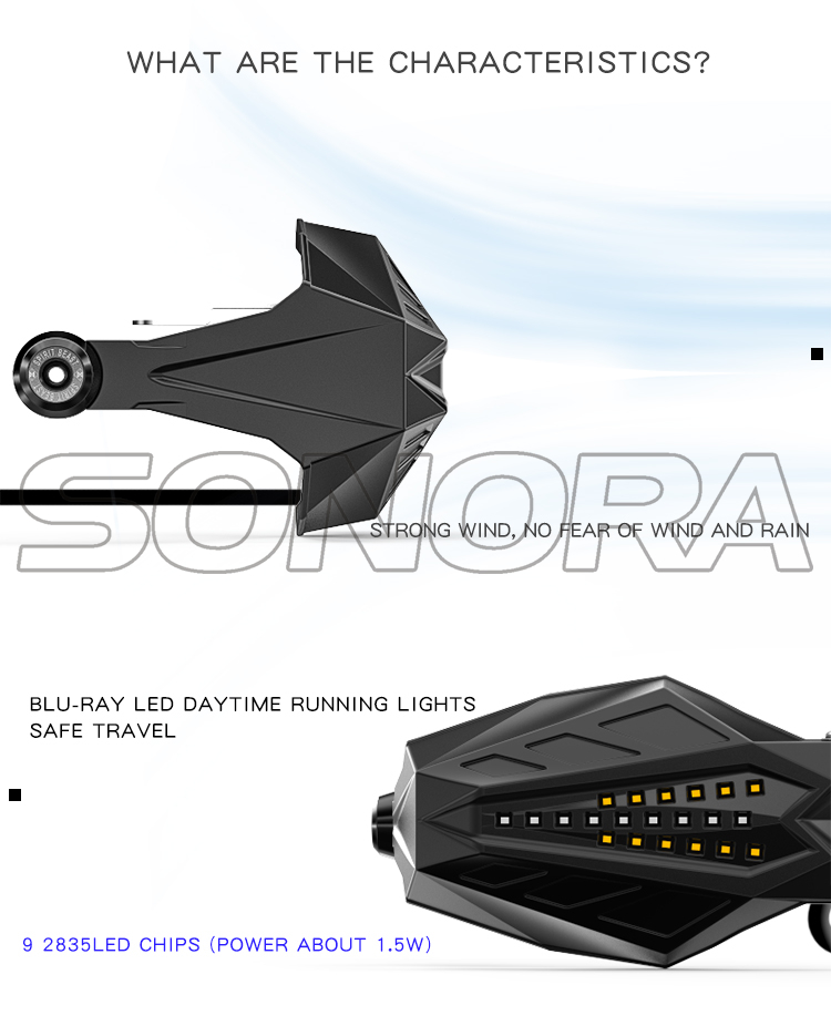 SPIRIT BEAST LED with light guard L1 (5)