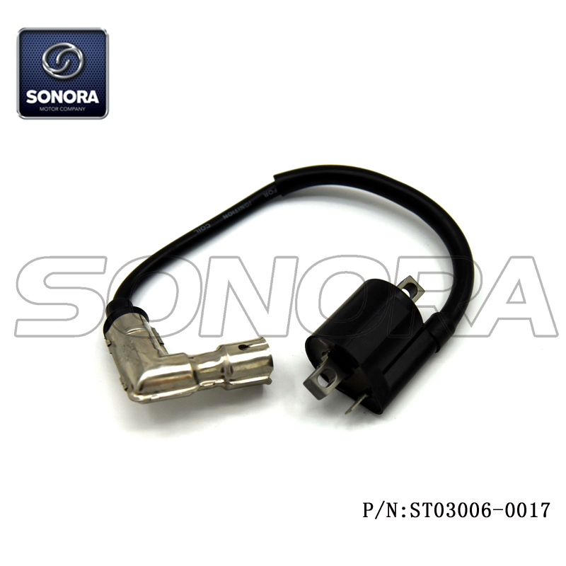 ST03006-0017 (1)
