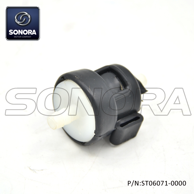 ST06071-0000 (3)
