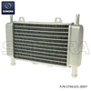 Radiator for Gilera Runner, DNA, Piaggio Zip SP (P/N:ST06101-0007） Top Quality 