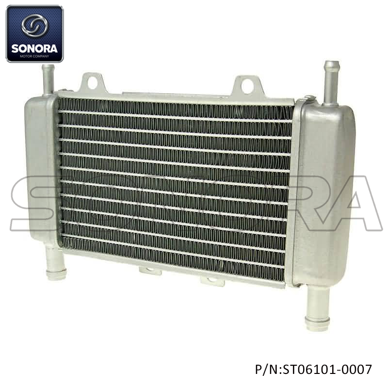Radiator for Gilera Runner, DNA, Piaggio Zip SP (P/N:ST06101-0007） Top Quality 